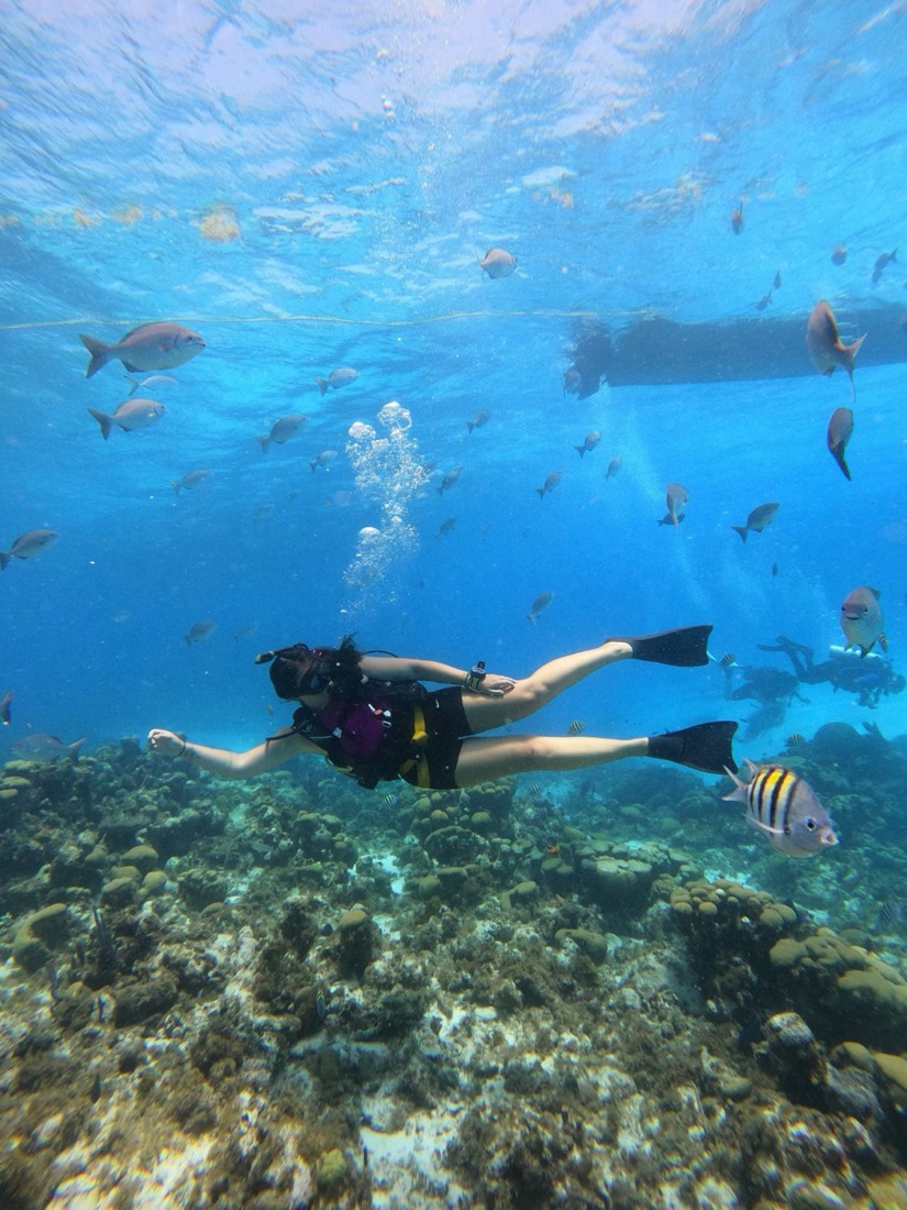 Audrey en plongée au-dessus d'un récif de corail, entourée de poissons